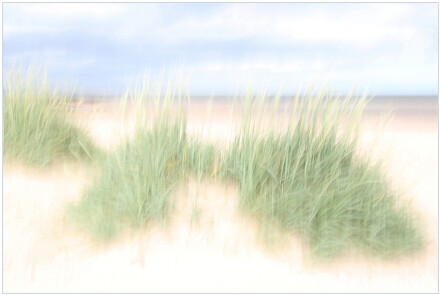 Blowin' in the wind, Sue Hoggett