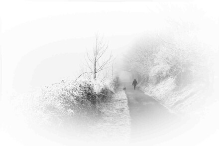Cold and frosty, Alex Davidson