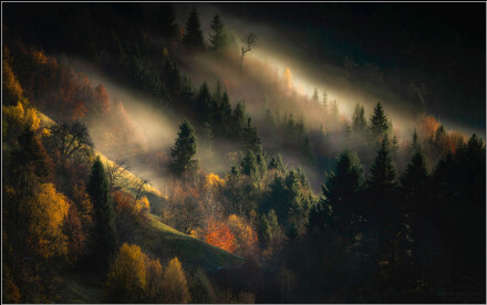 The Secret Garden © Piotr Skrzypiec