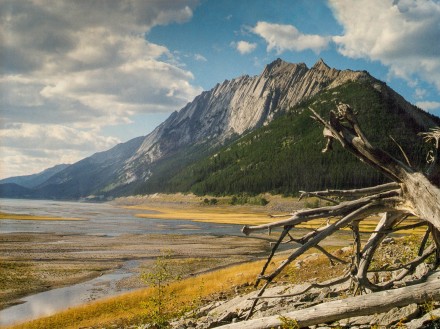 Wilderness, Mike Chapman