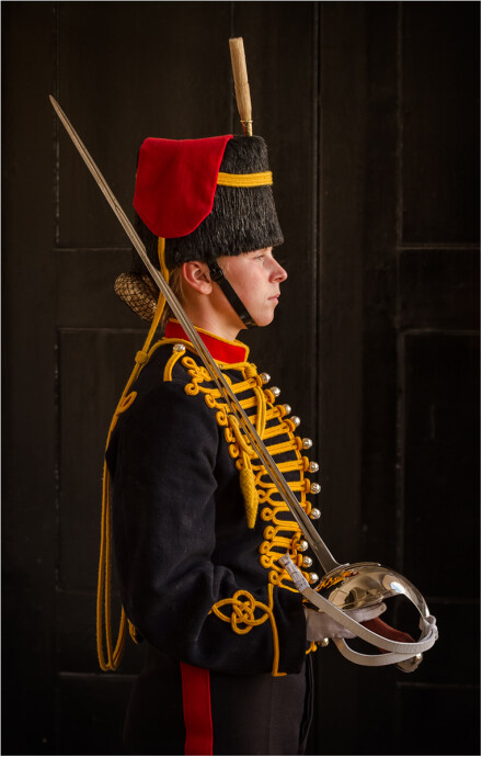 Royal Horse Artillery, David Ireland