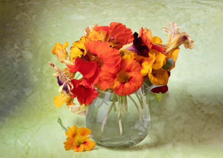 Not just a vase of nasturtiums, Michèle Beverley