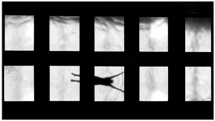 5. Silhouette & swim, Mike Fidkin