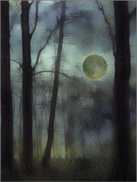 Moonrise on the Wolds, Andy Chamings