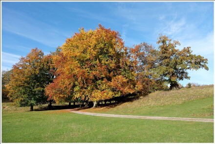 Autumn glory, Sue Hoggett