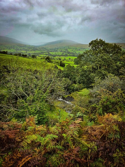 Beautiful even in the rain, Richard Masters