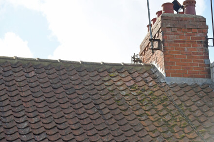 Roofline, Malcolm Beetham