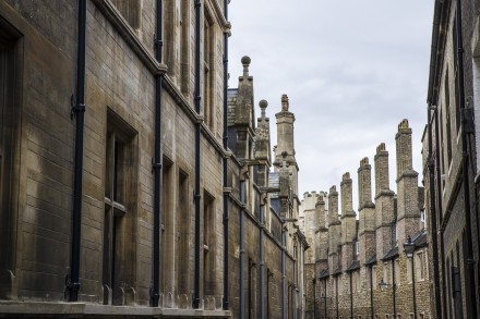 Cambridge Chimneys, Bill Ward