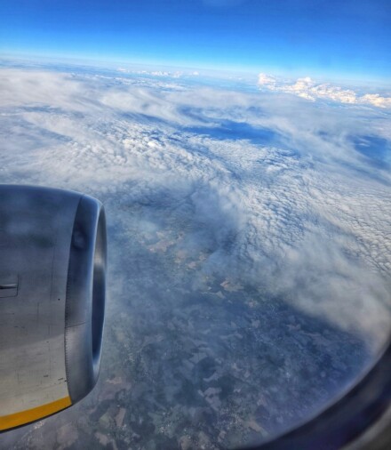 And away we go, Julia Walton