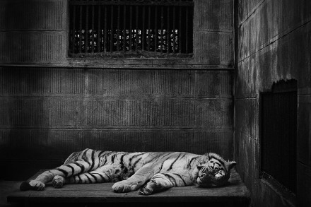 Home © Britta Jaschinski