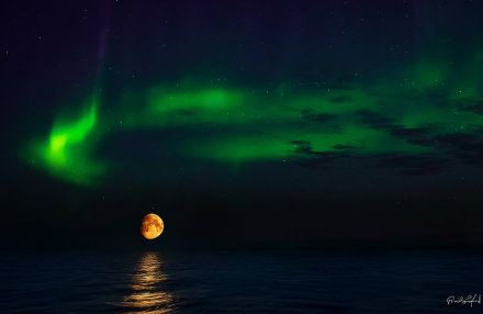 Aurora Moonrise, Dave Sandford