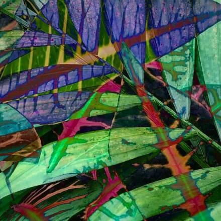 In celebration of plants, Jocelyn Hayes