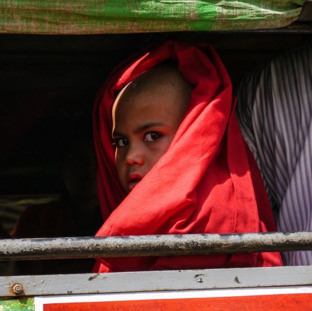 The young monk, Carol Clarke