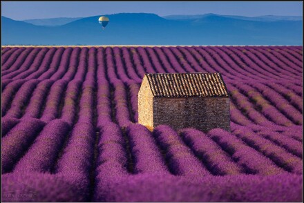 Summer in Provence © Piotr Skrzypiec