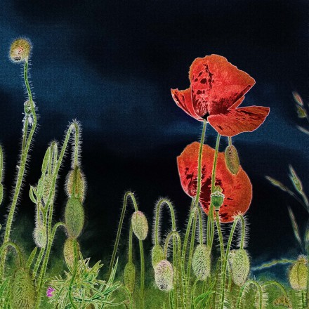 The Lightness of Being, Renewal and Hope, Andy Chamings