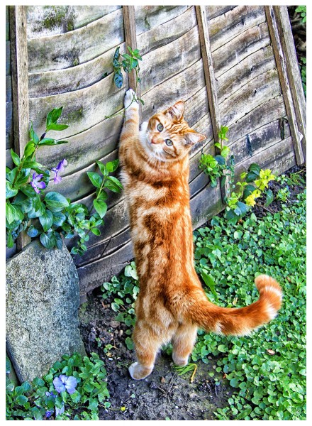 Caught on camera, Sue Hoggett