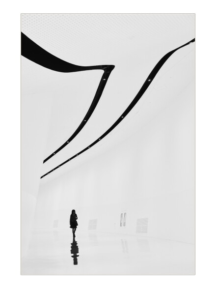 Figure in the void, Mike Fidkin