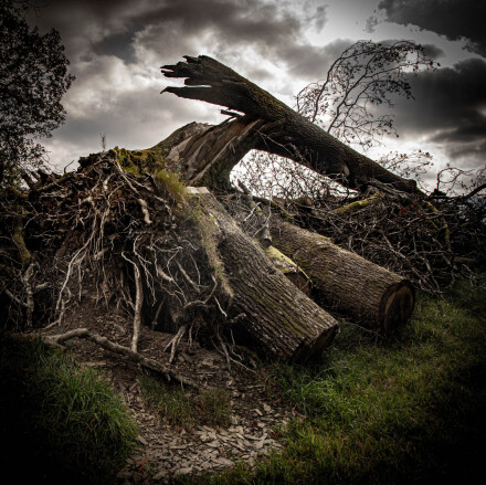 Storm struck, Carol M Clarke