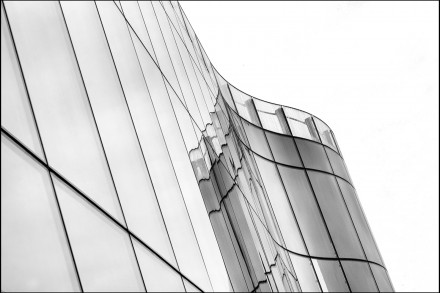Lines and curves, 50mm, Sue Hoggett