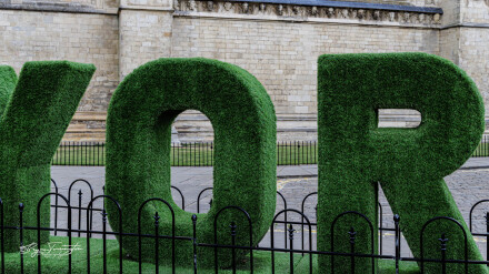 York lines, Bryan Torrington