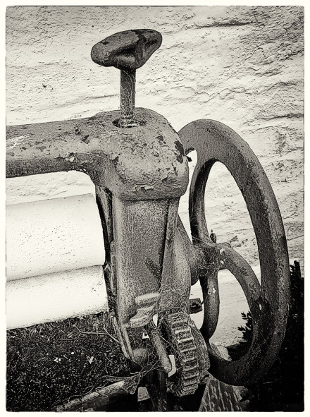 All mangled up, Sue Hoggett