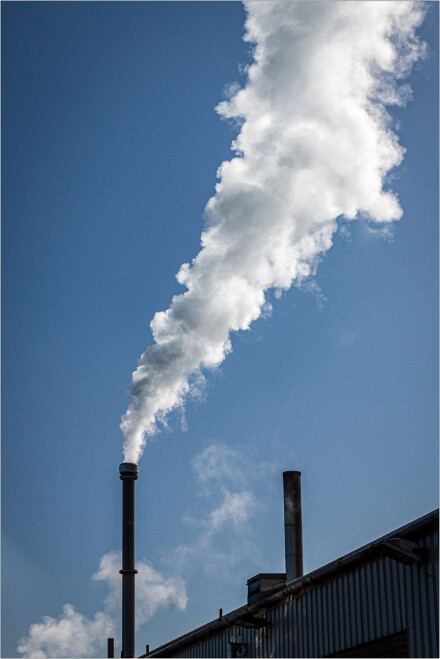Active chimney, Roger Poyser
