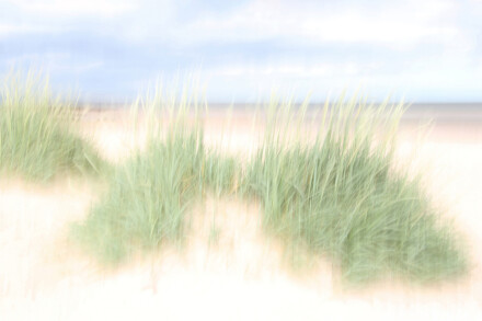 Blowin' in the wind, Sue Hoggett