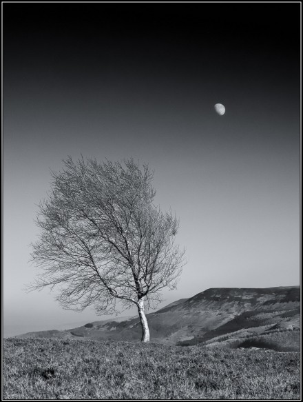 Moon and Moorland, David Kessel