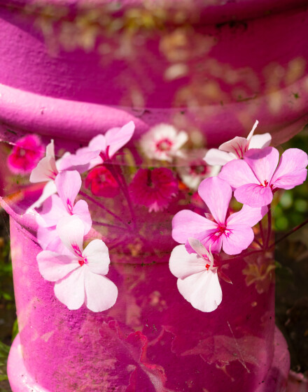 Floating a cross, Andy Towse