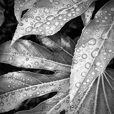 Simply a short shower, Jocelyn Hayes