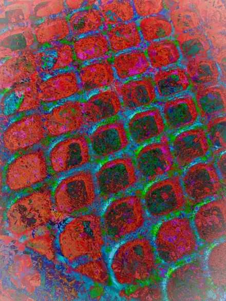 A network of lines, Carol M Clarke