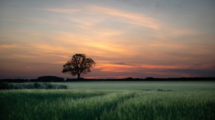 Nice evening, Martin Holyoak