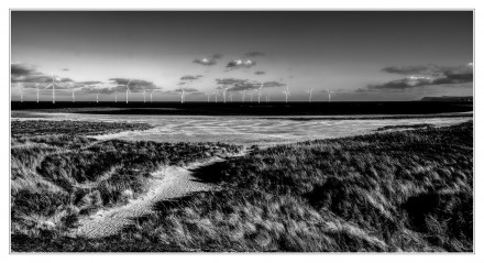 PADDY'S HOLE: The Dunes, David Williamson