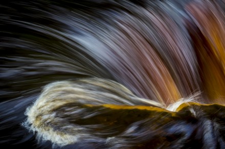 Kisdon Force, Bill Ward
