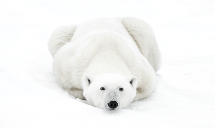 The Waiting Game, Dave Sandford