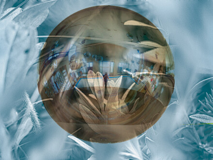 Reflective or transparent, Alex Davidson