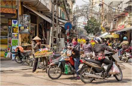 Hanoi, David Ireland