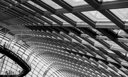 Under glass, Graham Sheath