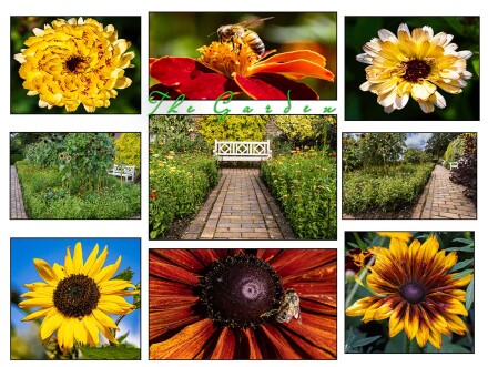 The Garden, Bryan Torrington