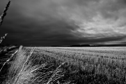 2. Light in the landscape, David Williamson