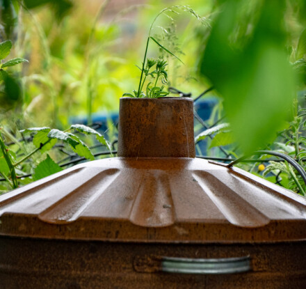 Allotment chimney, Wendy Darley