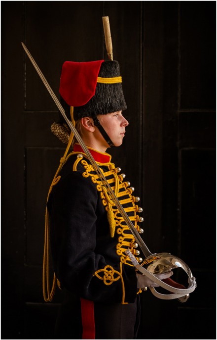 King's Troop, London, David Ireland