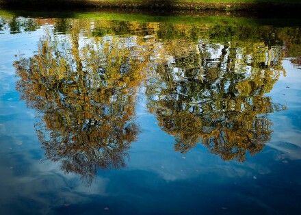 Golden reflections, Julia Walton