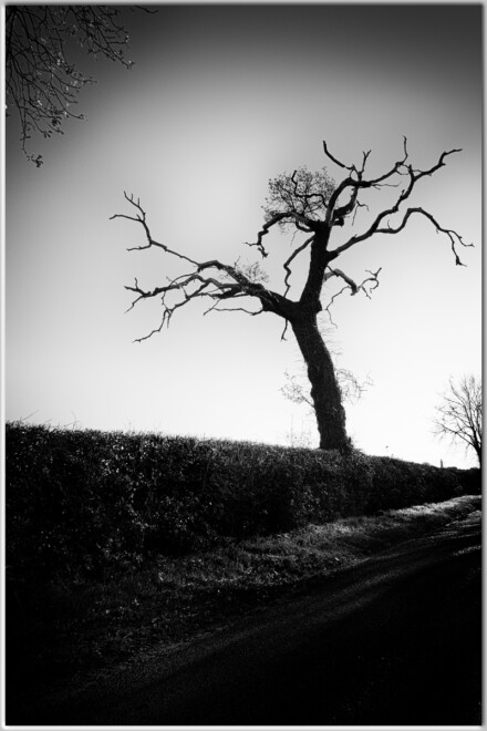 Long term decline, Andy Chamings