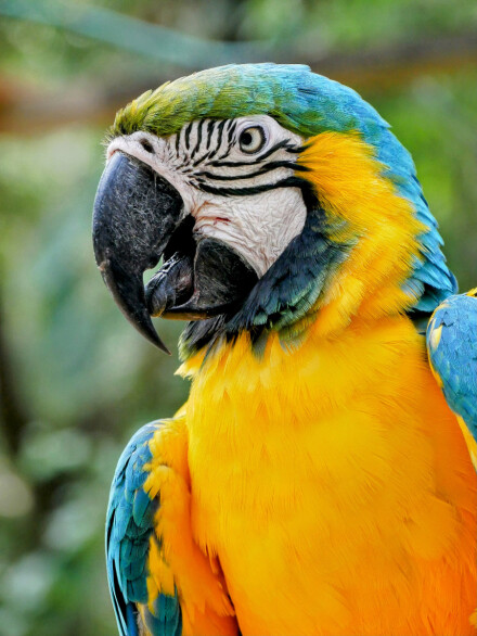 Pretty Polly, Emily Hoggett