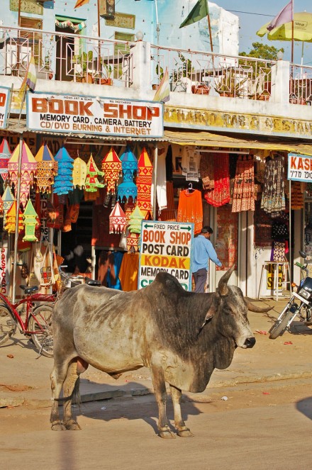 Where's the china shop, Malcolm Beetham