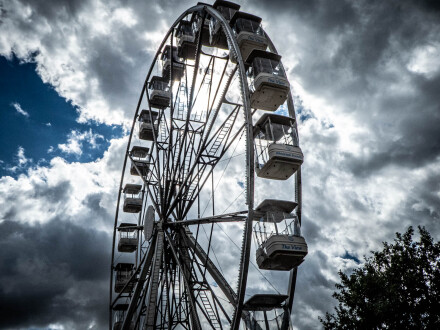 Radial lines, Alex Davidson