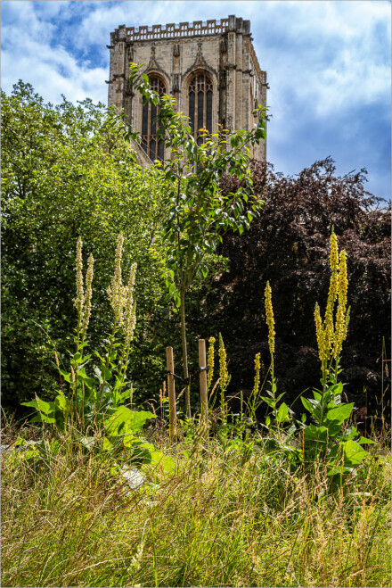 Minster tower, Roger Poyser