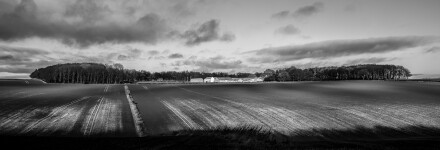 5. Light in the landscape, David Williamson