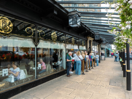 B lines, Alex Davidson